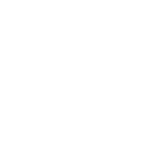 genauigkeit