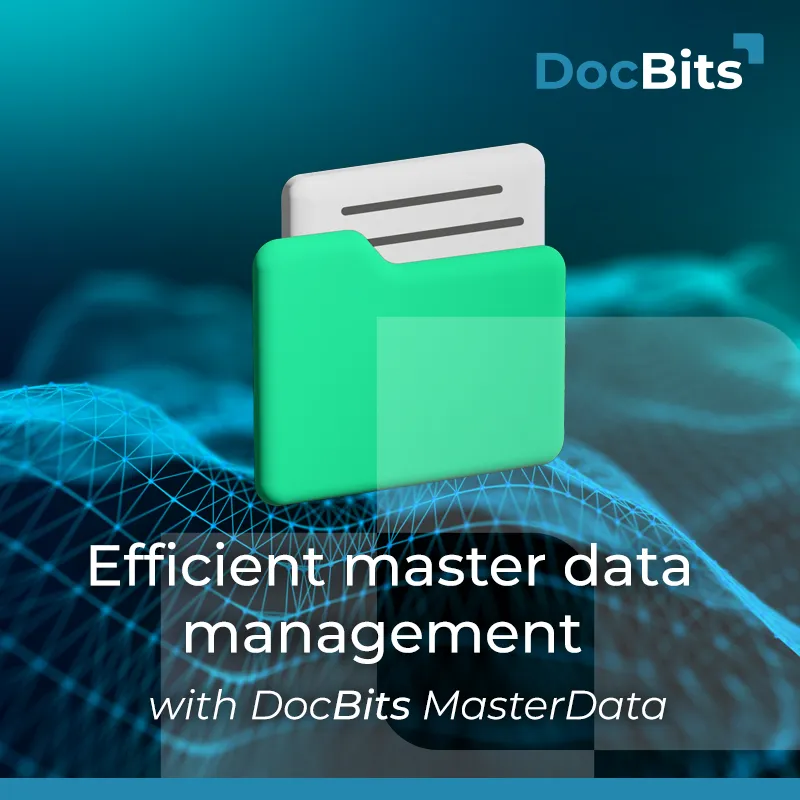 Efficient master data management